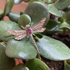 Garnet and diamond Rhodium plated Sterling silver dragon fly pin/pendant